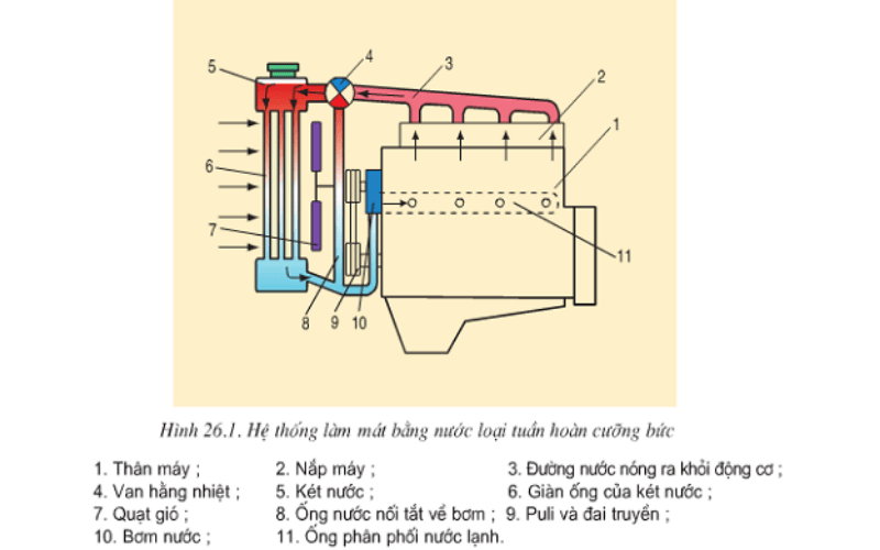 Hệ thống làm mát bằng nước (Dùng trên xe nâng dầu, xăng, gas)