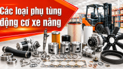CÁC LOẠI PHỤ TÙNG ĐỘNG CƠ XE NÂNG THÔNG DỤNG
